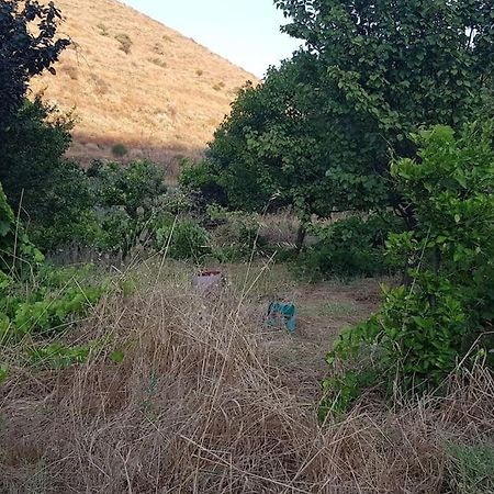 Κυθνος Δρυοπίδα, Στούντιο Χατζής Villa Dhriopís Eksteriør bilde