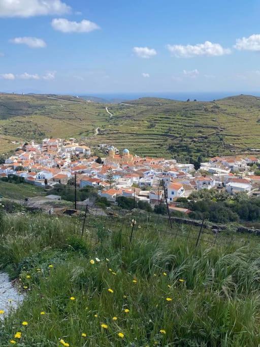 Κυθνος Δρυοπίδα, Στούντιο Χατζής Villa Dhriopís Eksteriør bilde