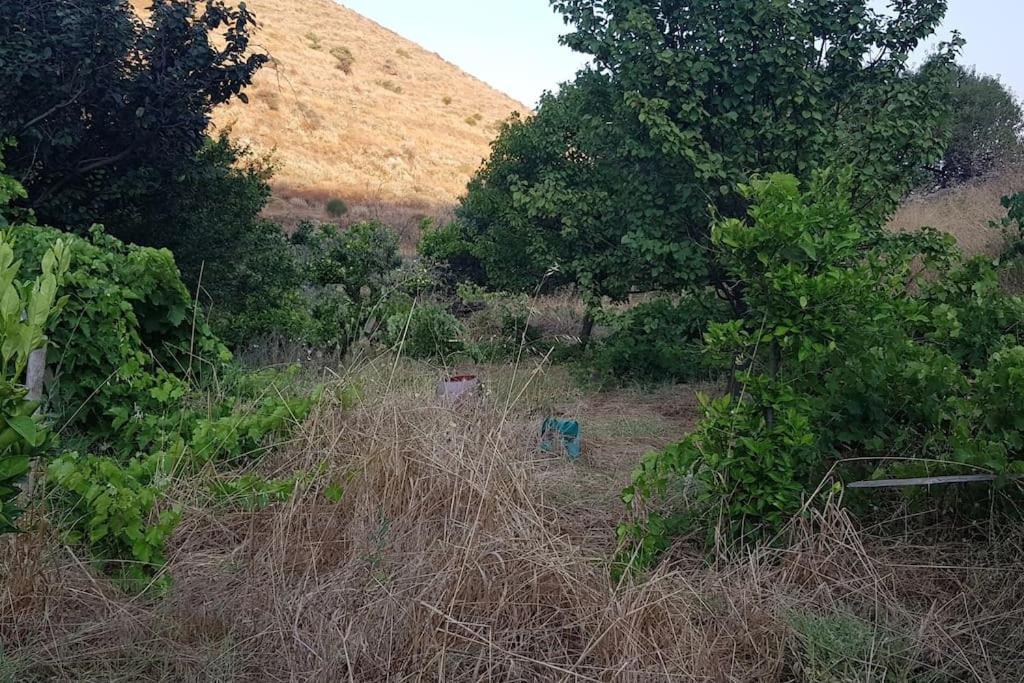 Κυθνος Δρυοπίδα, Στούντιο Χατζής Villa Dhriopís Eksteriør bilde